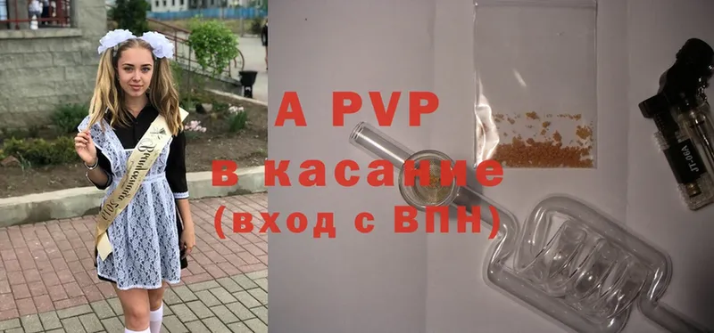 A PVP СК  Кирсанов 